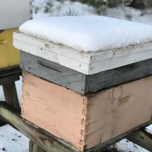 Meet your Posher, Veronica